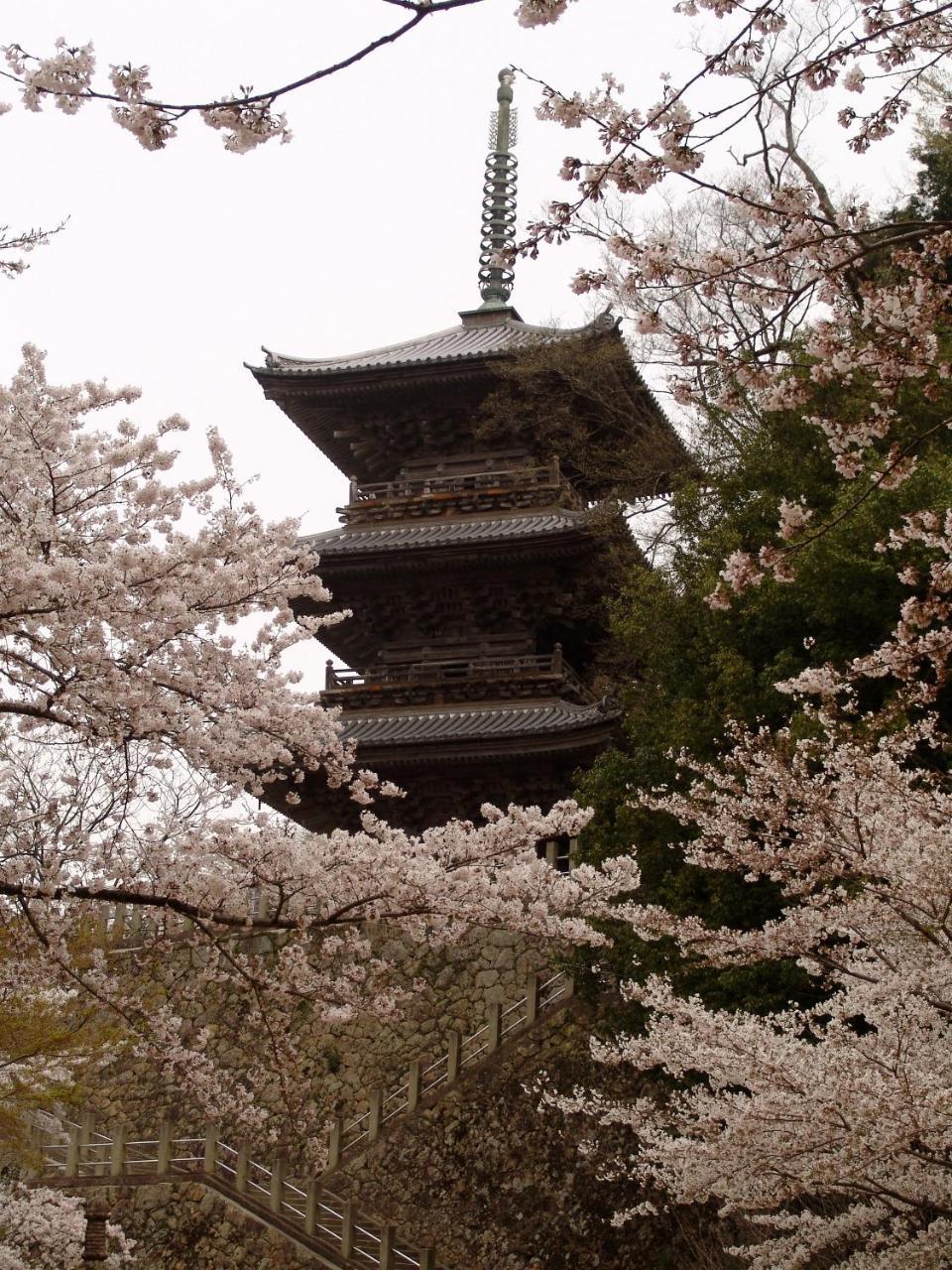 Shokinkan Yasugi Exterior photo